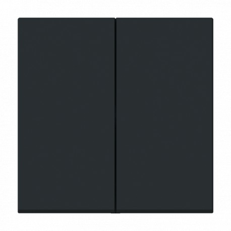 NIESSEN 2CLA881100A1501 2CLA881100A1501 8811 NT NIESSEN Dual NT switch-switch key